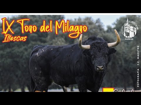 🐂 EMOCIONANTE el IX TORO del MILAGRO en Illescas | 07-03-26