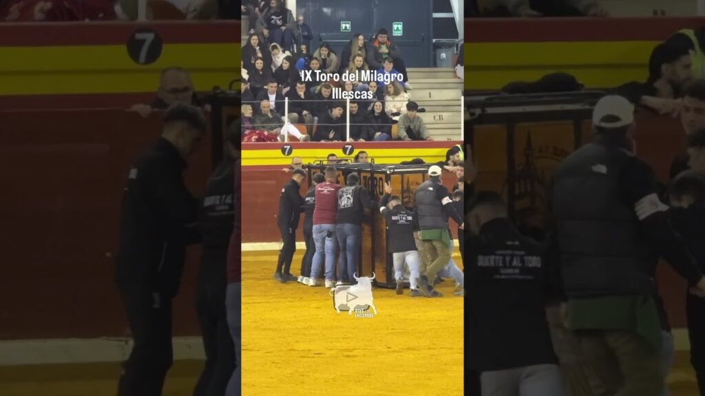 Los mozos colocan el cajón de Buscatodo #illescas #shorts