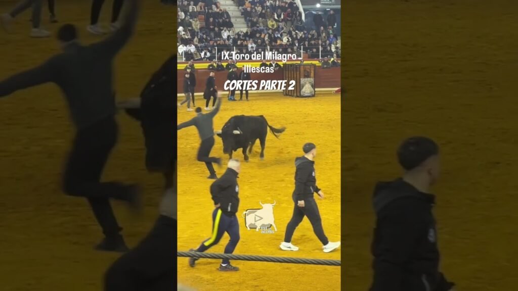 Cortes a Buscatodo parte 2 Illescas #shorts