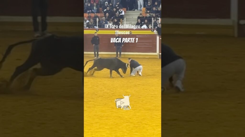 Capea con la vaca en Illescas #parte1 #shorts
