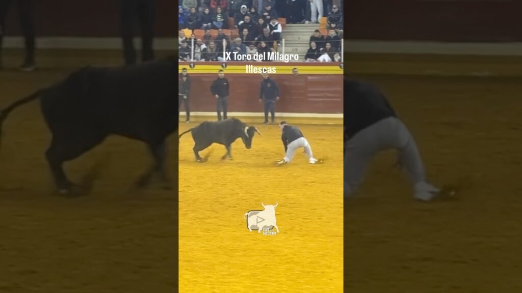 Recibiendo a la vaca de rodillas #illescas #shorts