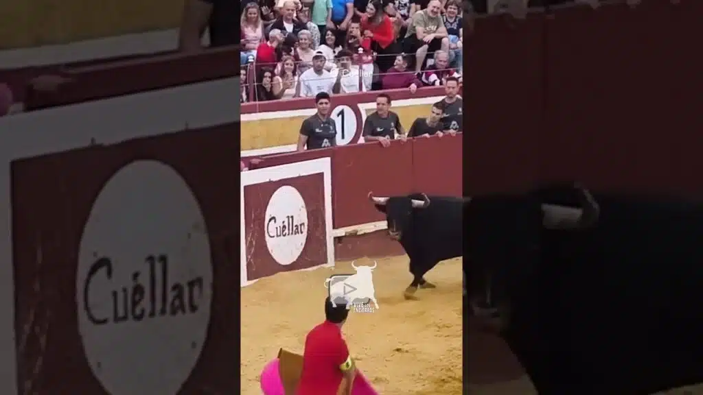 ⚠️ TORO REVIENTA LAS TABLAS #shorts