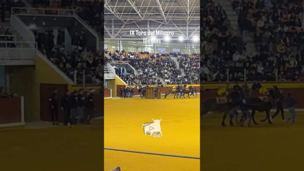 Las mulillas arrastran el cajón de Buscatodo #shorts