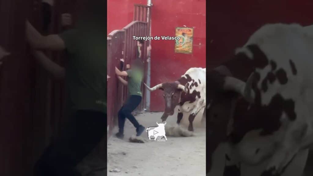 ⚠️ A POCO DE SER CORNEADO POR UN MANSO