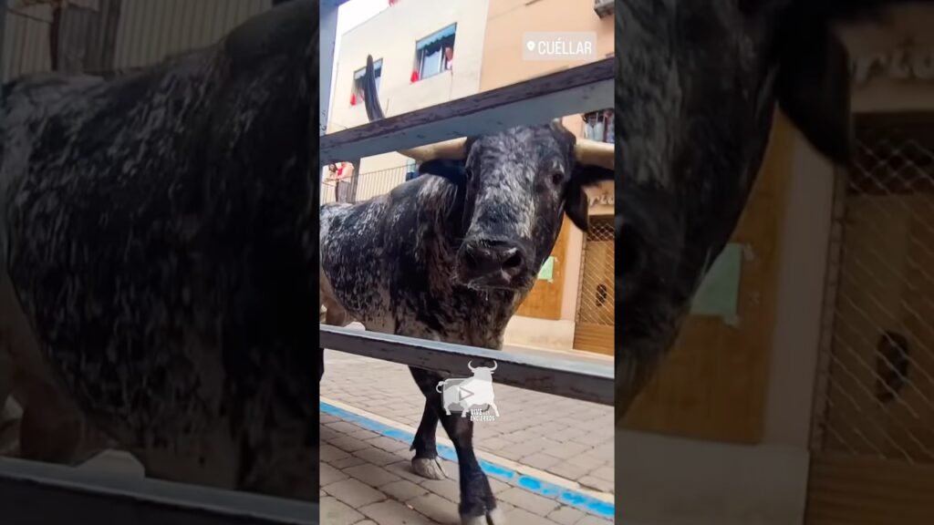 🥵 VÉRTIGO de ALFRED HITCHCOCK