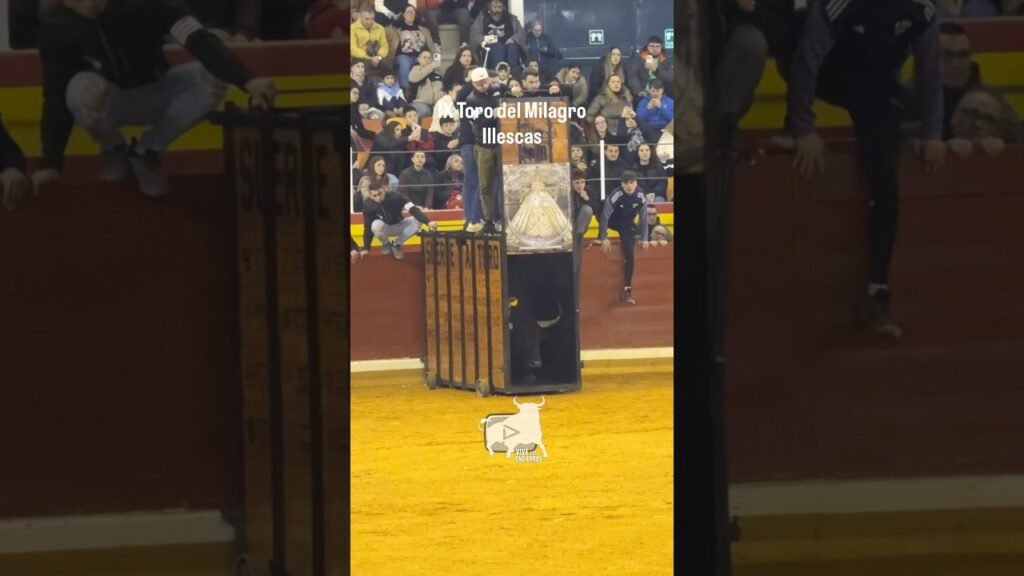 🐂 Buscatodo sale dormido del cajón #illescas #shorts #vivelosencierros #toroultra #toros #bull