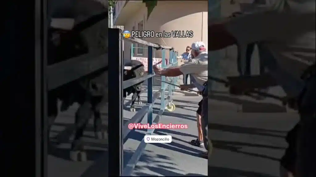 EL TORO SE CEBA EN LAS VALLAS CON MUCHA VIOLENCIA