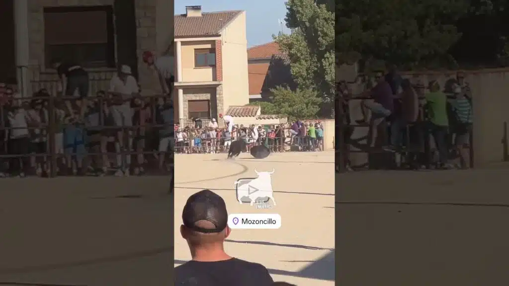 EL TORO EMBISTE AL PARAGUAS