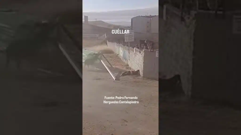 NO TE MUEVAS PELIGRO ️