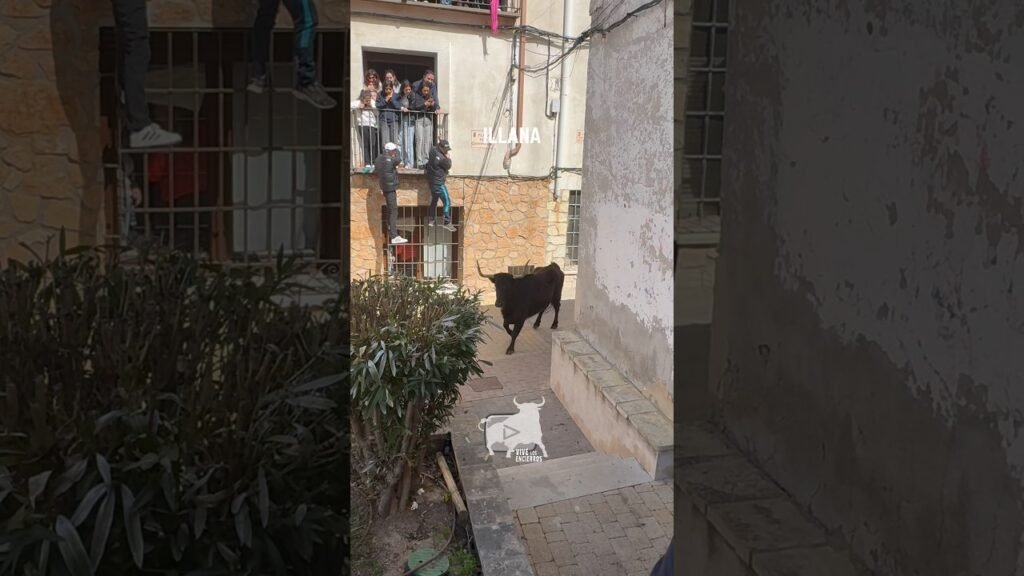 AL ESCONDITE CON LA VACA EN ILLANA #shorts