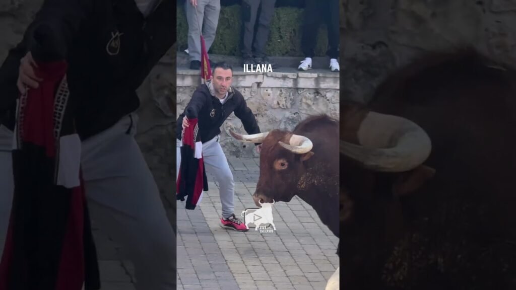 SAETA SUBE LAS ESCALERAS ILLANA #shorts