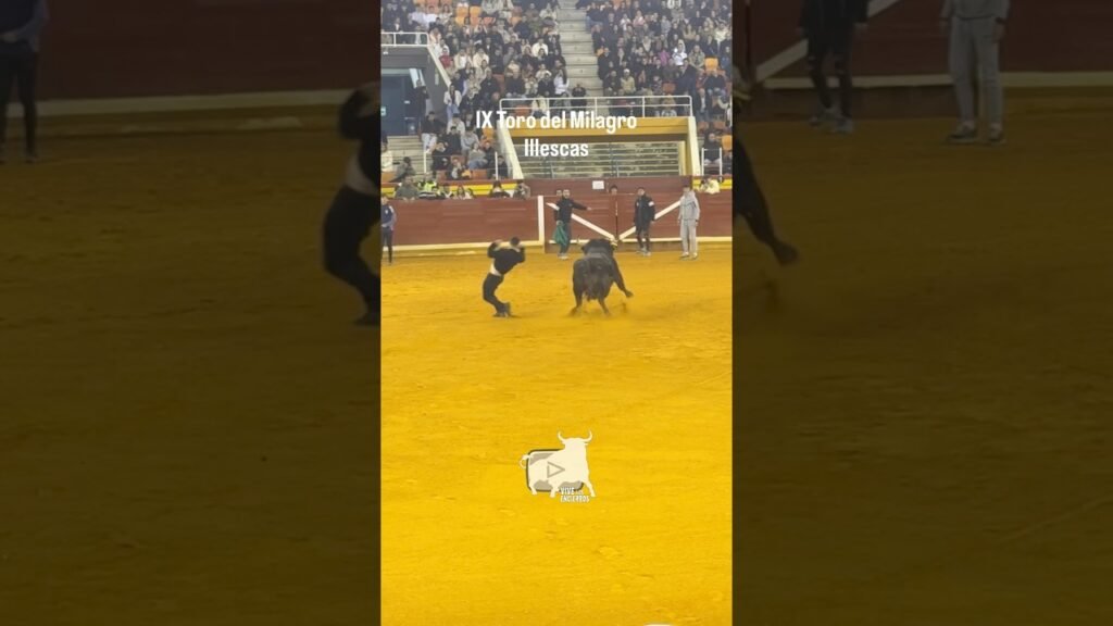 Espectacular Buscatodo en Illescas #shorts