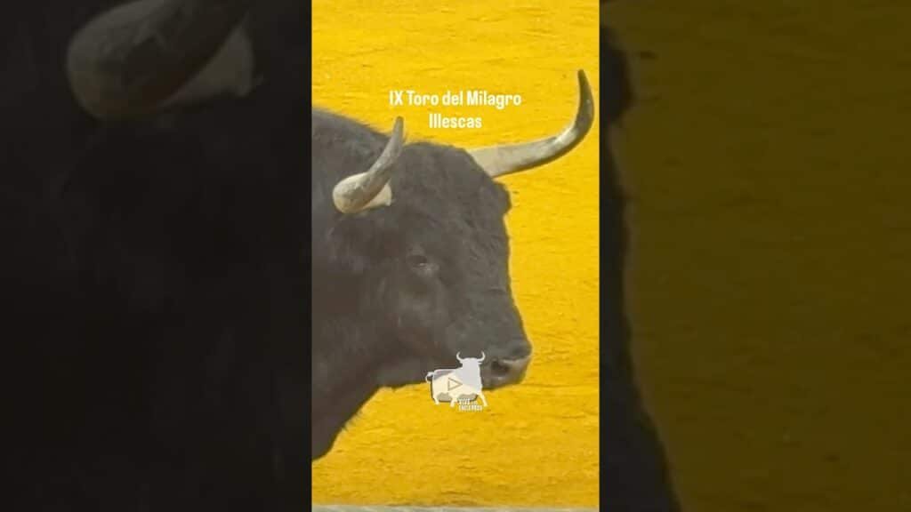 BUSCATODO INCANSABLE Illescas #shorts