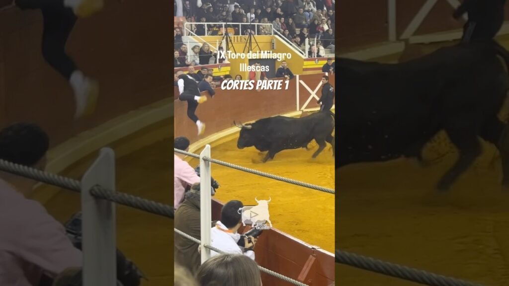 🐂 Magníficos cortes a Buscatodo Illescas PARTE 1 #shorts #toros #toroultra #vivelosencierros