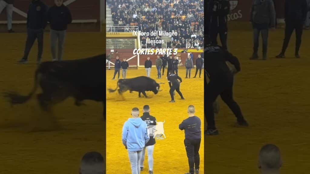 Cortes a Buscatodo Illescas Parte 3 #shorts