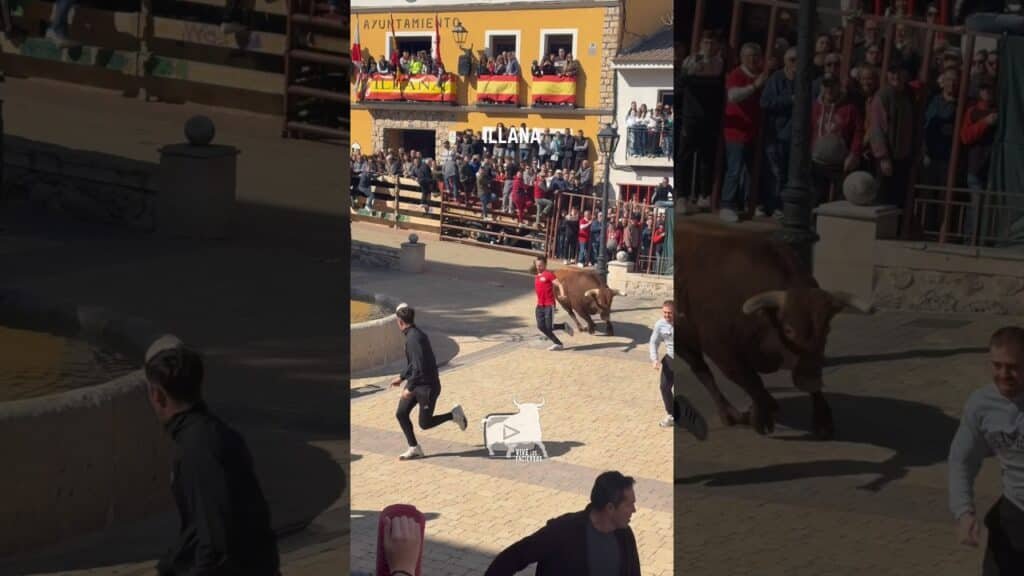 SAETA DANDO MUCHO JUEGO EN ILLANA #shorts