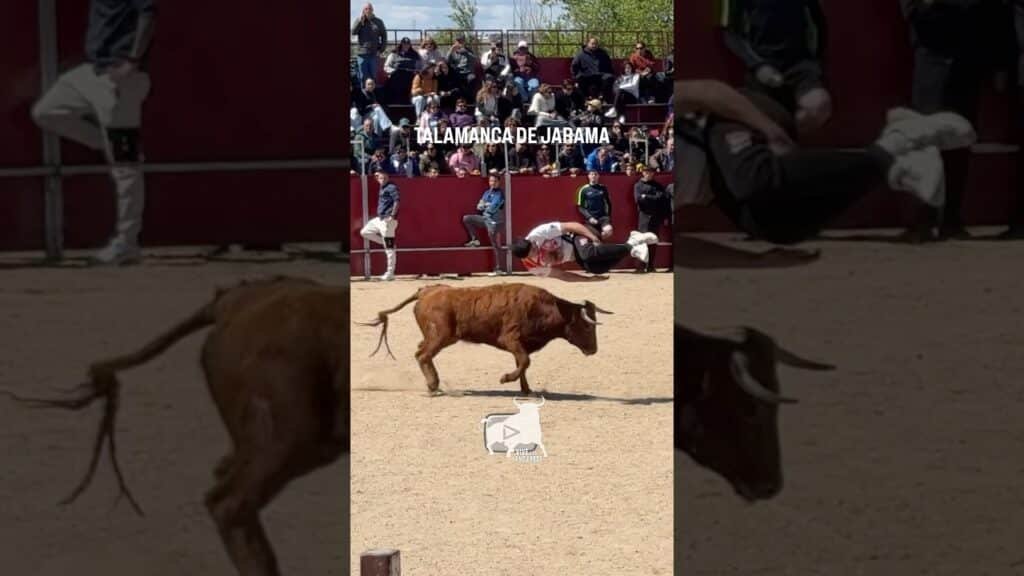 🔥 BUENA VOLTERETA A LA VACA TALAMANCA DE JARAMA #shorts