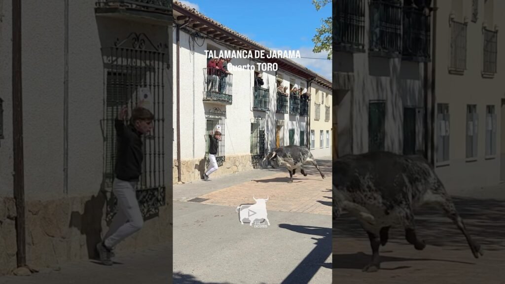 Cuarto toro encierro Talamanca de Jarama #shorts