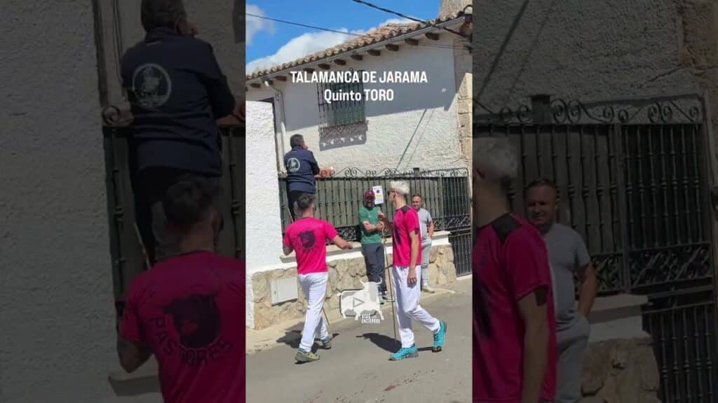 Quinto toro encierro en Talamanca de Jarama #shorts