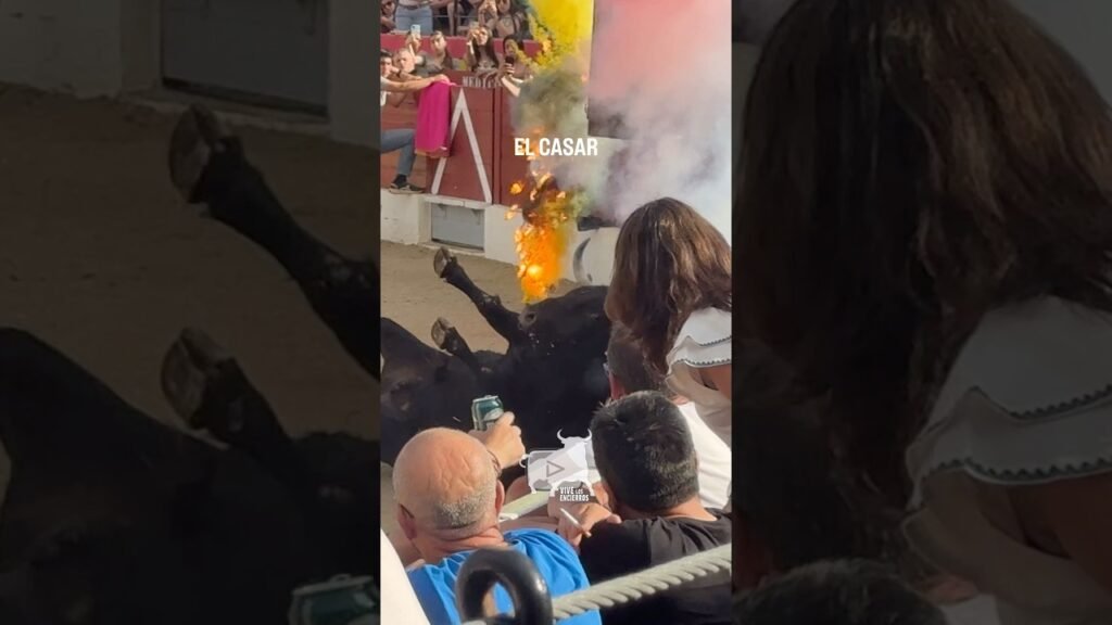 🔥 SALIDA DEL TORO CON VOLTERETA Y FUEGOS ARTIFICIALES EN EL CASAR #shorts