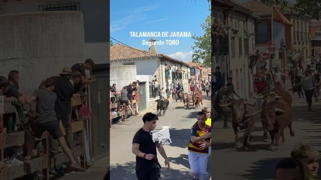 🐂 SEGUNDO TORO TALAMANCA DE JARAMA 18-4-26 #shorts