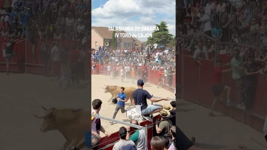 IV TORO de CAJÓN Talamanca de Jarama #shorts