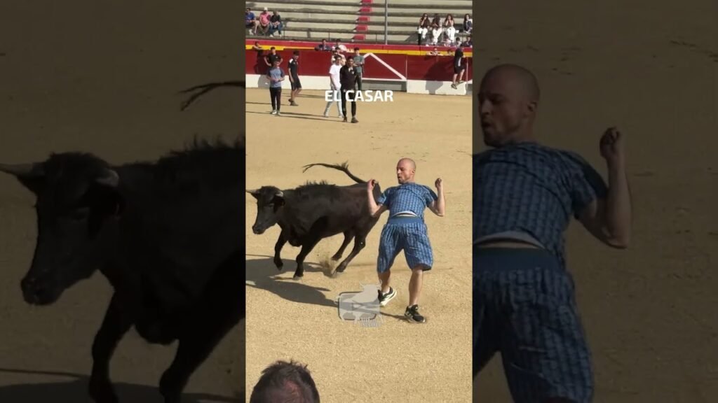 🔥 Capea con dos vacas el Casar #shorts