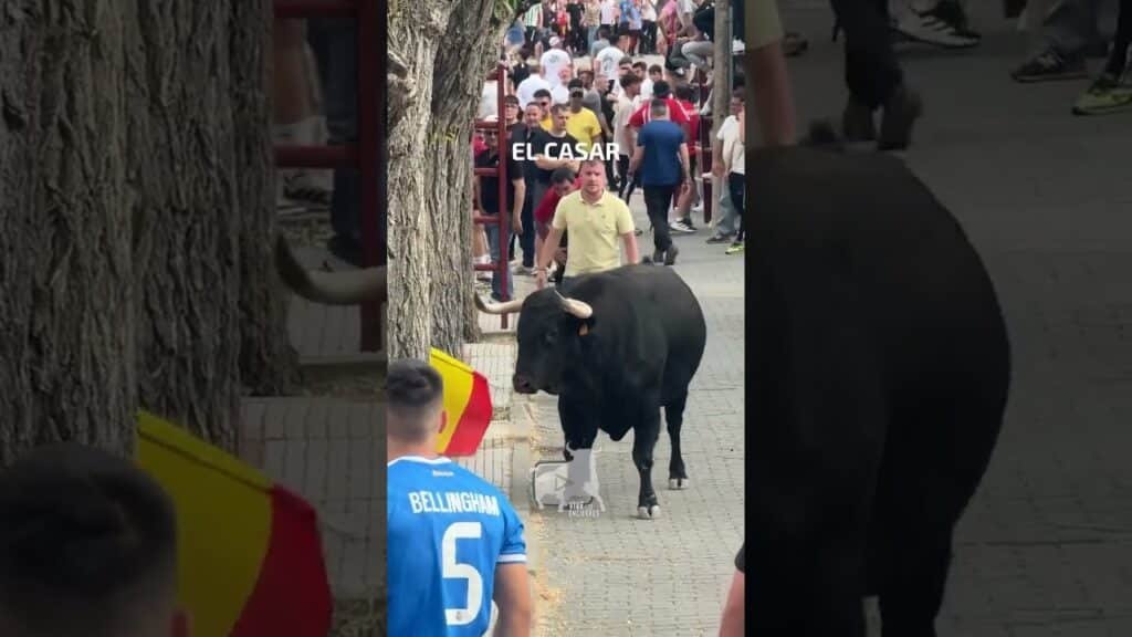 INDIO por las calles de El Casar #shorts