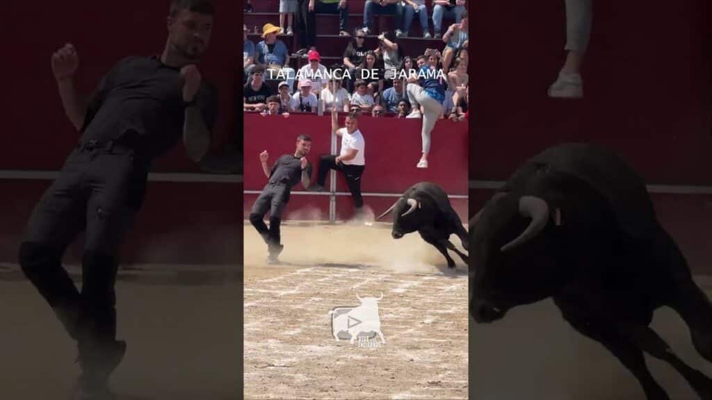 ¡Pura Tensión en Talamanca! 🐂 | Dangerous Bull Run Spain (Parte 1) #shorts