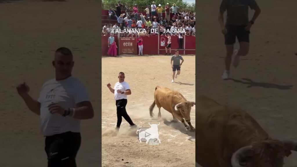 ¡Qué toro mas bonito! 💥 | Beautiful Bull in the Ring #shorts