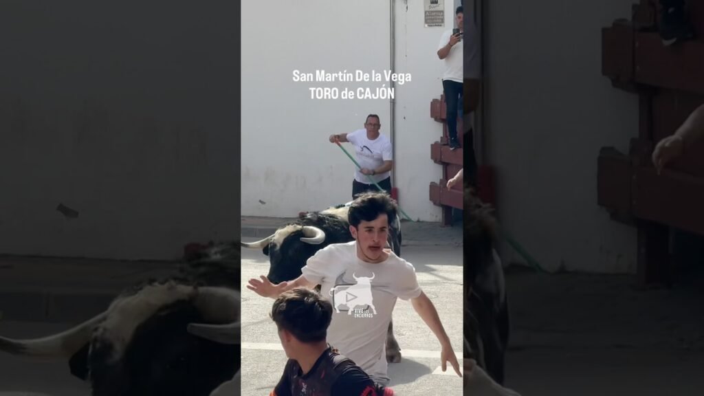 🐂 ENORME Toro de Cajón San Martín De La Vega | ENORMOUS Bull in a Box #shorts