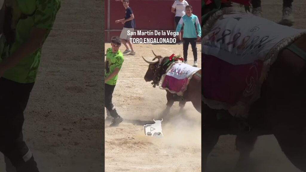 😱🔥¡Madre mía! Pedazo de cortes al toro Engalonado | My God! What a cut to the bull Engalonado