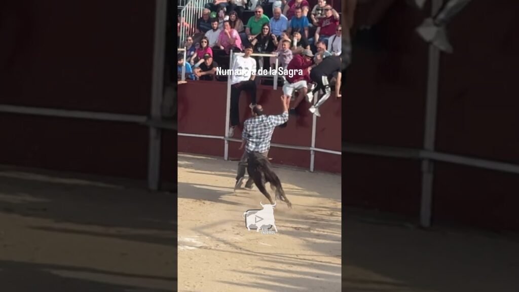 ¡Si te ha PILLAO la VACA! J***TE 😅 | You’ve been caught by the cow! F**k you