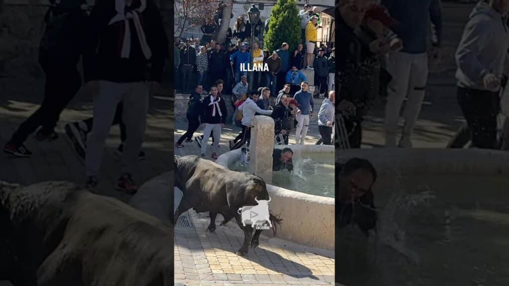 Hombre al agua en Illana