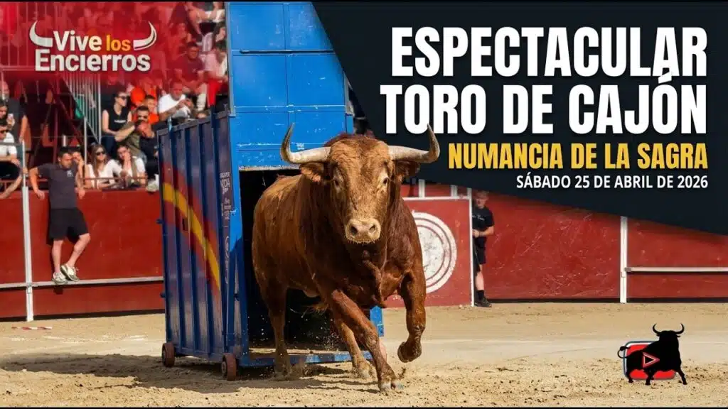 🎥 ¡ESPECTACULAR TORO de CAJÓN! NUMANCIA DE LA SAGRA | SPECTACULAR BULL FROM A BOX 25-4-26