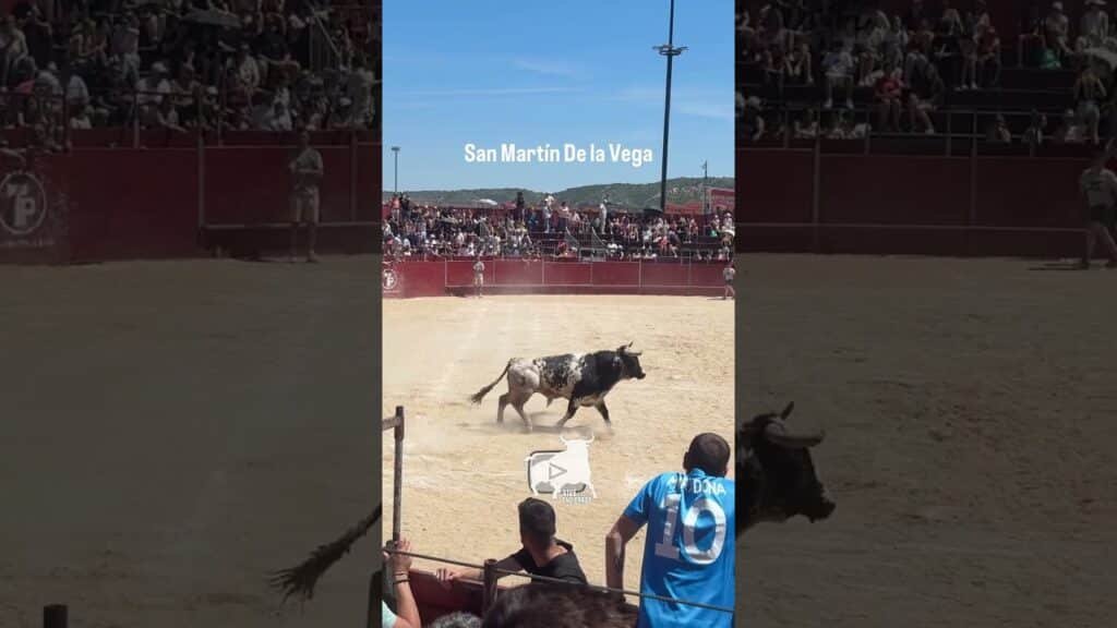 🔥 GRAN SALIDA del Segundo TORO en San Martín De la Vega | GREAT EXIT of the Second BULL #shorts