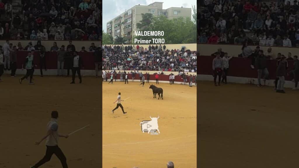 🔥¡Nervios! Entra el primero en Valdemoro | Nerves! The first one enters Valdemoro #shorts