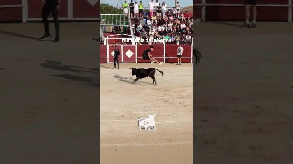 🤠¡PEDAZO SALTOS a la VACA! | HUGE JUMPS to the COW! #shorts