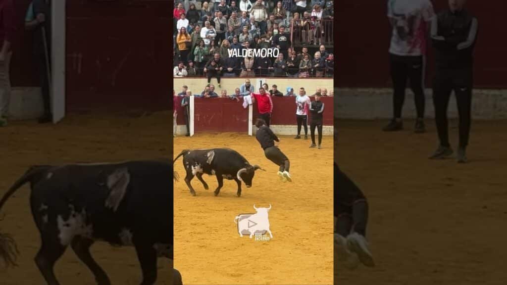 🐃 Wow! ¿Con qué SALTO de los DOS? | Wow! What a jump by the two of them! #shorts