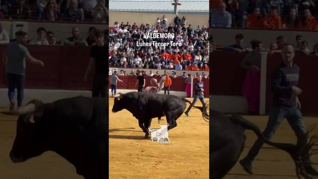 ¡Vaya entrada del tercero! Valdemoro | What an entrance to the third bull #shorts