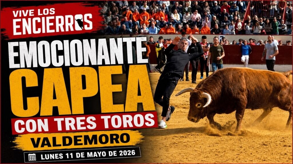 ¡Qué BIEN lo PASAMOS! En VALDEMORO 11-5-26 | We had a GREAT time! At the VALDEMORO bullfighting