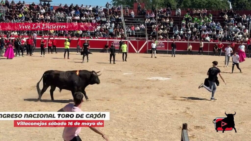 ⚠️ SÓLO 1 MINUTO: La tensión de Villaconejos antes del ESTRENO