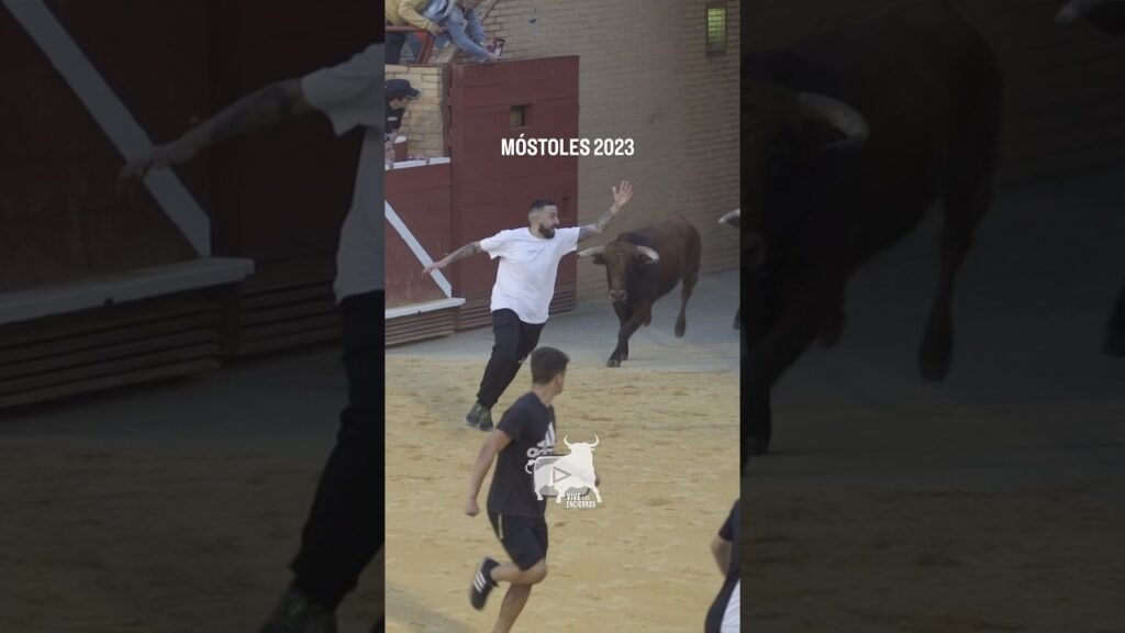 Se molestan y casi es alcanzado | They get upset and he is almost hit by the bull #shorts