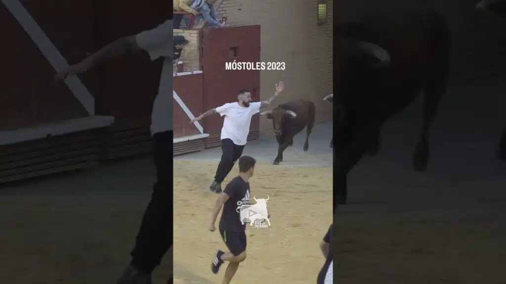 Se molestan y casi es alcanzado | They get upset and he is almost hit by the bull #shorts