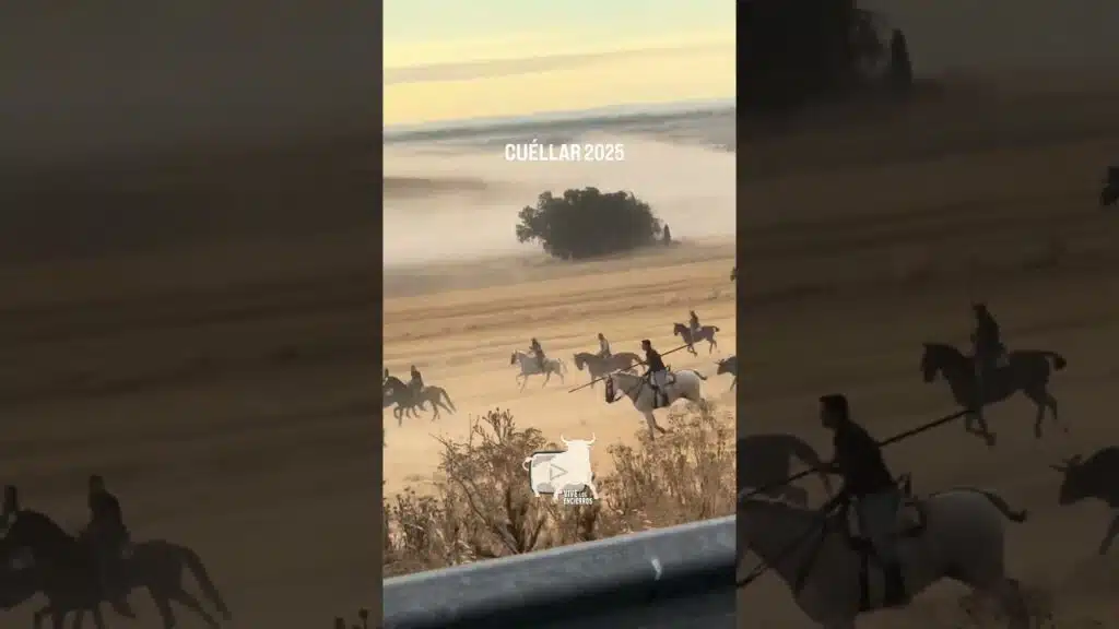 🔥🏇🏼INCREÍBLES IMÁGENES A CABALLO CUELLAR #shorts