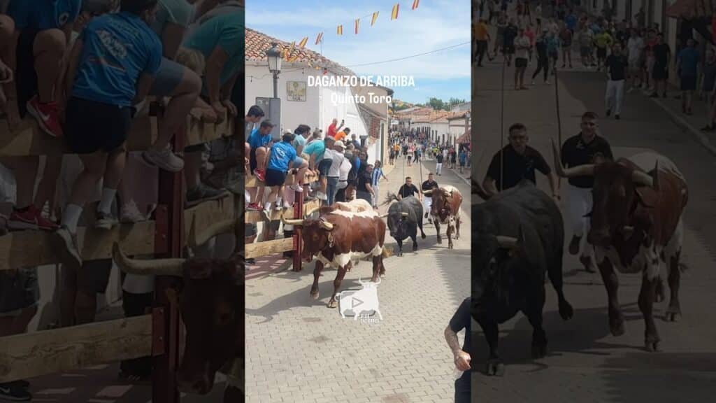 Encierro en Daganzo de Arriba 2026 - Quinto TORO Copa Chenel
