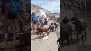 Encierro en Daganzo de Arriba 2026 - Quinto TORO Copa Chenel