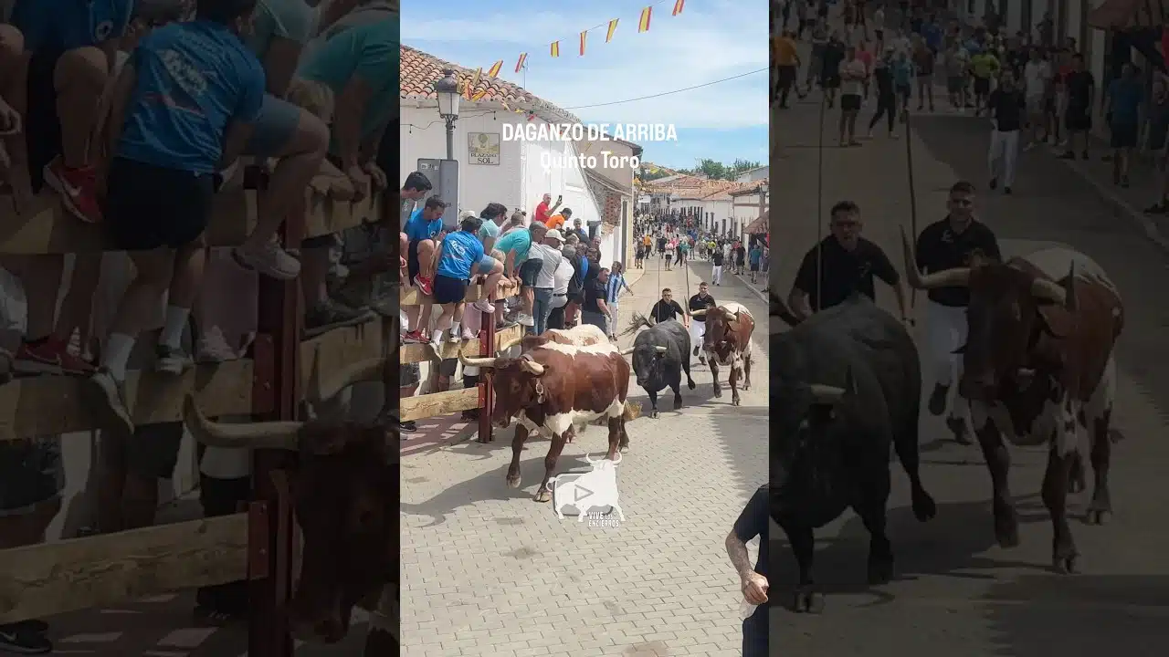 Encierro en Daganzo de Arriba 2026 - Quinto TORO Copa Chenel