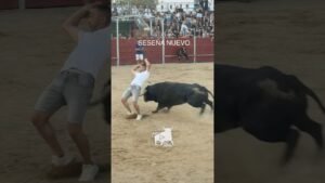 Encierro en Seseña Nuevo 2026 - Muy buenos cortes a este toro