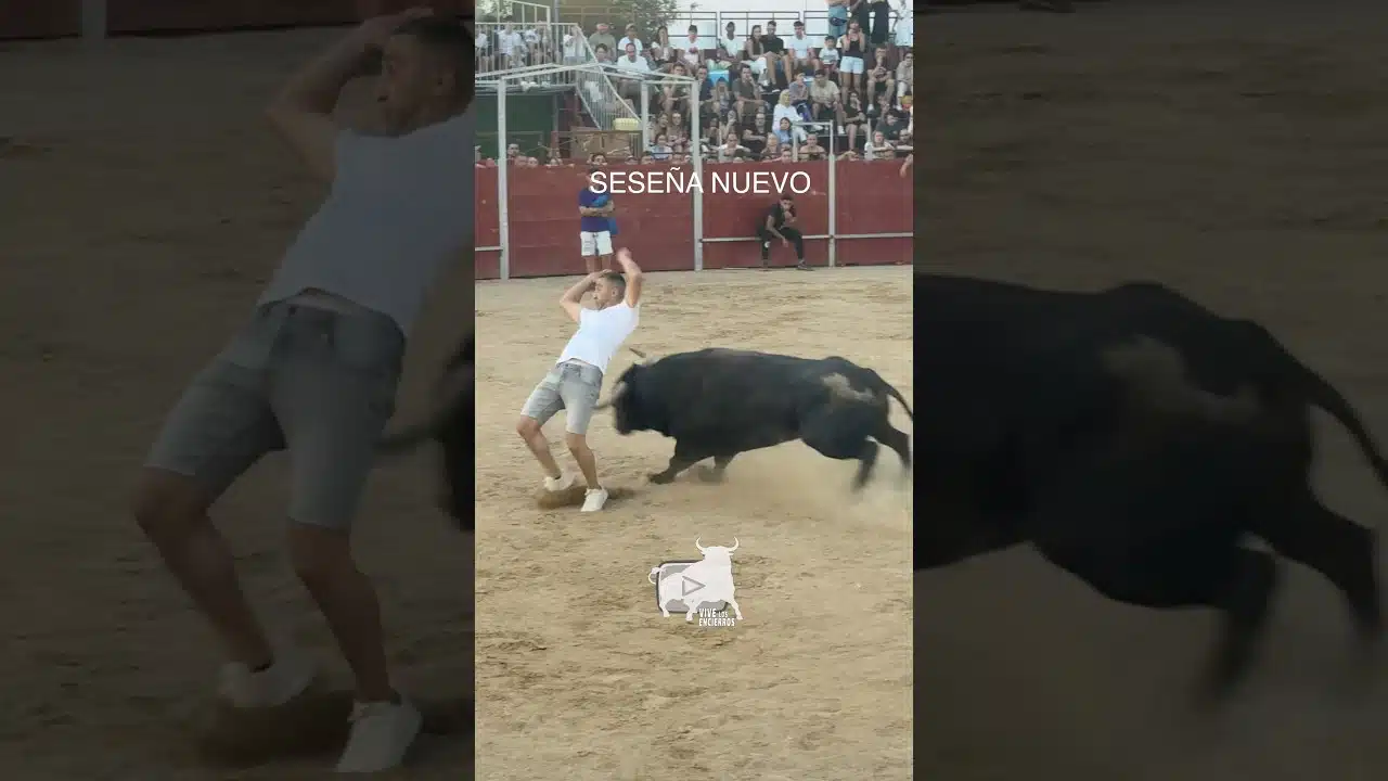 Encierro en Seseña Nuevo 2026 - Muy buenos cortes a este toro